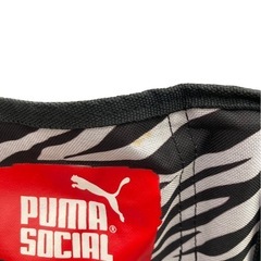 PUMA プーマ アームチェア  ゼブラ柄 アウトドア キャンプの画像