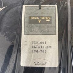 スーツケースRudolph Valentino【未使用】の画像