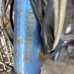 ロードパル通称ラッタッタ
の画像