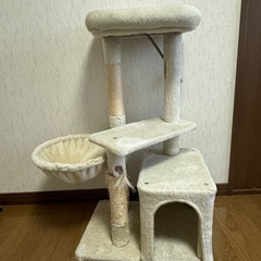 猫爪研ぎタワーの画像