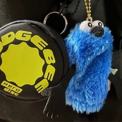 初心者歓迎！月1回ゆるく楽しむ社会人ドッヂビーサークル