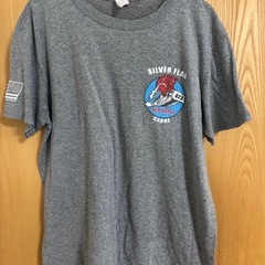 90s GILDAN グレー Tシャツの画像