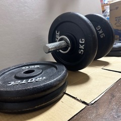 30キロのダンベル1個の画像