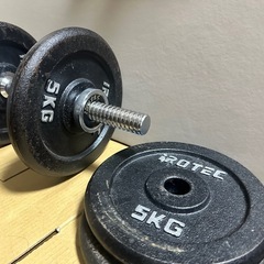 30キロのダンベル1個の画像