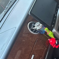 車検残アリ❗️可愛い内装のラパン8万円❗️❗️の画像