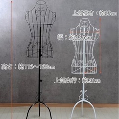 アイアン トルソー レディース 9号 ホワイトの画像