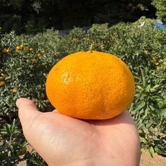 大食いの方いませんかー？