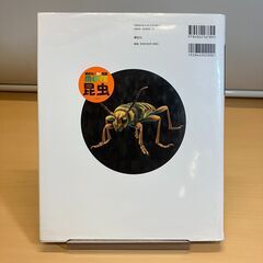講談社 図鑑 MOVE　昆虫の画像