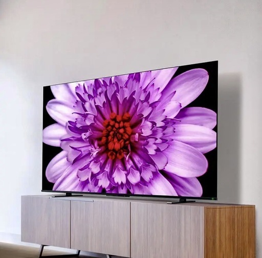 TOSHIBA REGZA 65M550K 4K液晶テレビ 65型 AndroidTV ネットTV YouTube Netflix