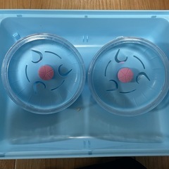 ハムスター　ケージの画像