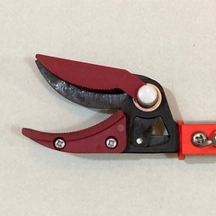 高枝鋏、替えノコギリ刃付き
の画像