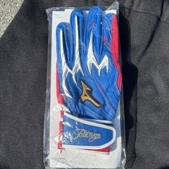 筒香嘉智 支給品　バッティンググローブの画像