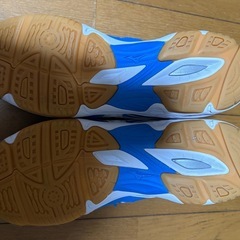 ミズノ　インドアシューズ　28cmの画像