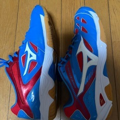 ミズノ　インドアシューズ　28cmの画像