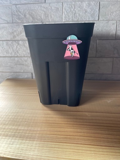 slide_file.jpg