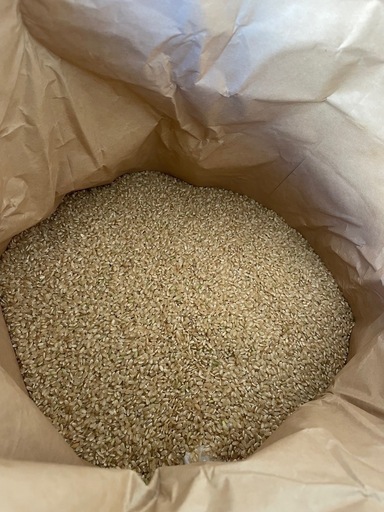 R7年8月収穫 小松島産 コシヒカリ 玄米  30kg