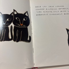 しろねこしろちゃんの画像