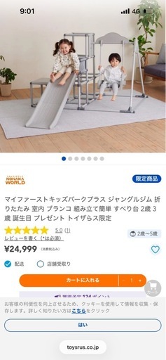 ジャングルジム