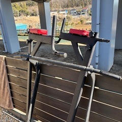 懸垂マシーン、ダンベル（おもりのみ）の画像