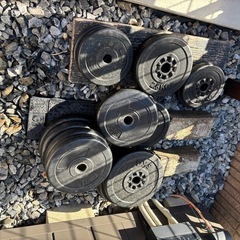 懸垂マシーン、ダンベル（おもりのみ）の画像