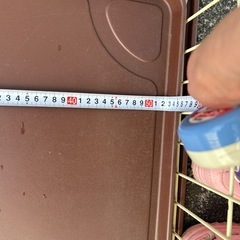 犬ゲージの画像