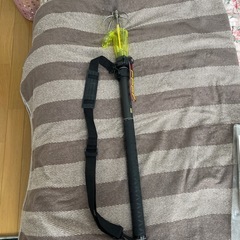 タモと兼用が出来るギャフの画像