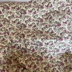 マルチカバー
の画像