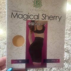 骨盤ショーツの画像