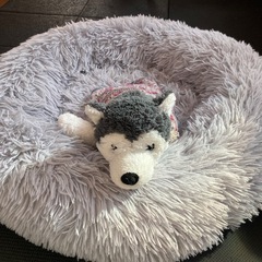 犬冬用ベッドの画像