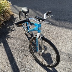 SE BIKES MINIRIPPER ミニリッパー 
の画像