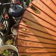 【訳あり・アンティーク】和傘 蛇の目傘（朱色）ディスプレイや撮影小道具に！の画像