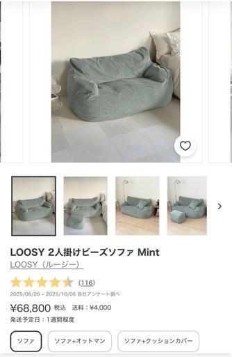 LOOSY 2人掛けビーズソファ Mint