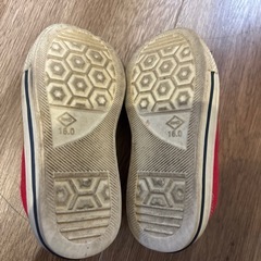 16㌢スニーカーの画像