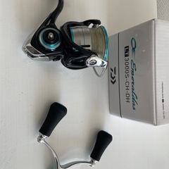 ダイワエメラルダスの画像