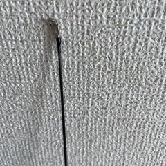 ダイワエメラルダスの画像