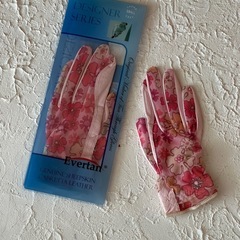 エバータン ゴルフ手袋 2組セット 婦人用の画像