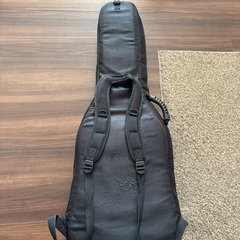 エレキギター　ケース肉厚の画像