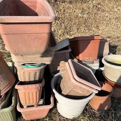プランター 鉢の画像