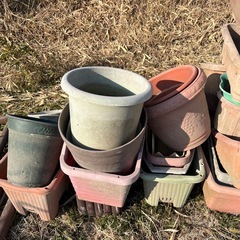 プランター 鉢の画像