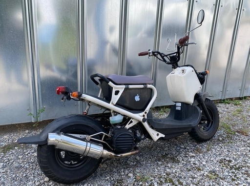 HONDA ZOOMER AF58 ホンダ　ズーマー　 白