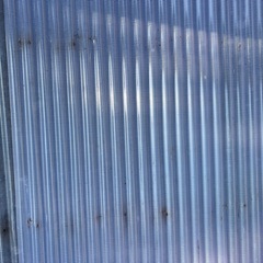 波板　決まりました
の画像