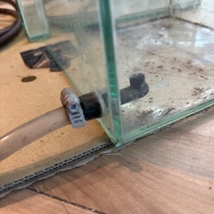 自作パルダリウム水槽2個の画像