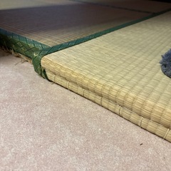 畳の画像