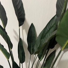 フェイクグリーンの画像