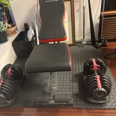筋トレのベンチとダンベル2個セットの画像
