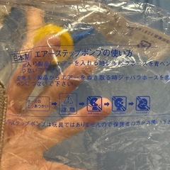 エアーステップポンプの画像