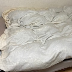 シングルベッドの画像