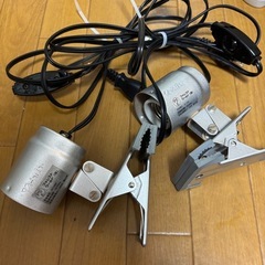 爬虫類関係小物セットの画像