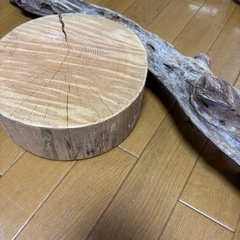 爬虫類関係小物セットの画像