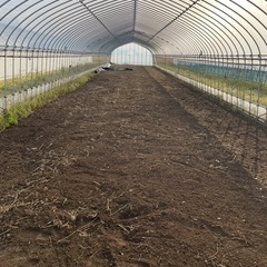 7.5m 40mビニールハウス　骨組み　ビニールも持ち帰り可能の画像